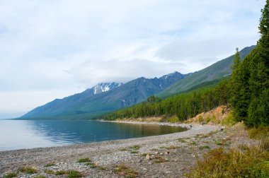 Yeşil bahar orman, Baykal yatay