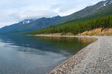 Yeşil bahar orman, Baykal yatay