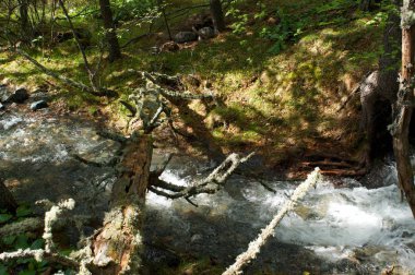 Nehri Vadisi dağlarda taş arasında