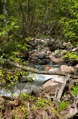 Nehri Vadisi dağlarda taş arasında