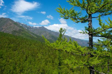 Deniz Baykal Dağları