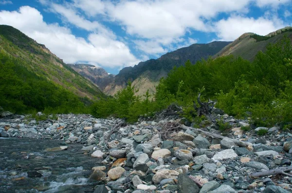 Река среди камней в горах долины — стоковое фото