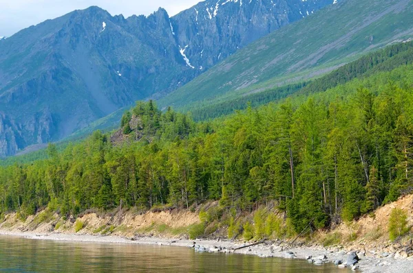 Paisagem de Baikal com floresta de primavera verde — Fotografia de Stock