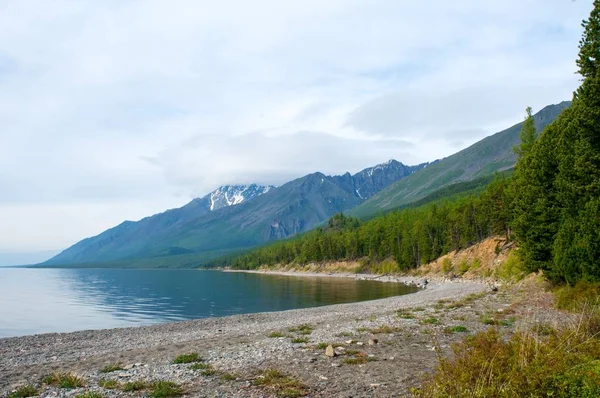 Yeşil bahar orman, Baykal yatay