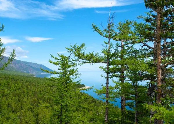 Deniz Baykal Dağları