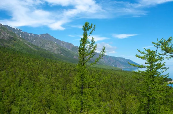 Deniz Baykal Dağları