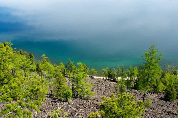Байкальский пейзаж с зелеными весенними лесами — стоковое фото