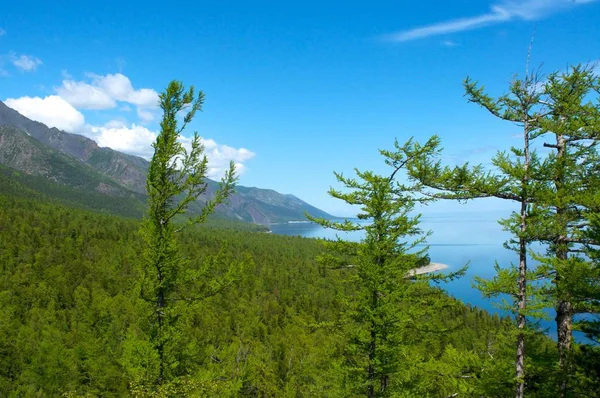 Deniz Baykal Dağları