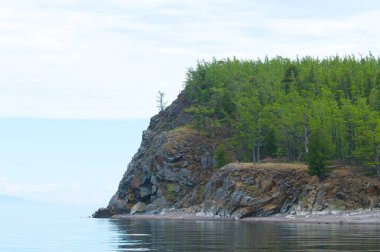 Yeşil bahar orman, Baykal yatay