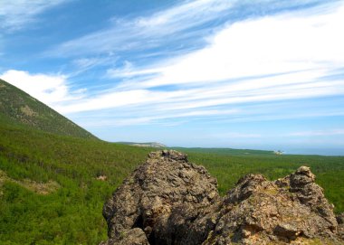 Yeşil bahar orman, Baykal yatay