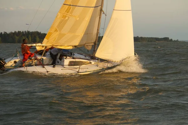 노보시비르스크, 러시아-July12:Sailing 레 가타, 국제 경쟁 — 스톡 사진