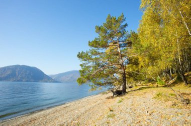 Bled Gölü çakıl plajı