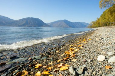 Bled Gölü çakıl plajı