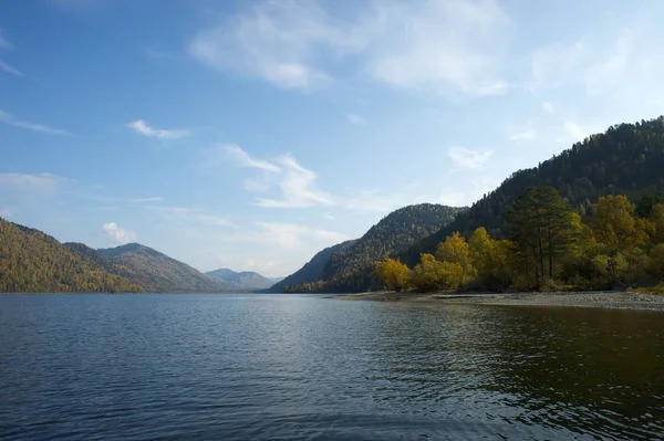 Bosque en las piedras sobre las aguas del lago — Foto de Stock