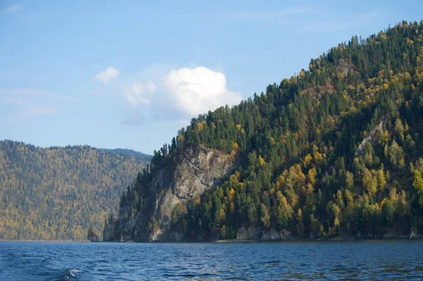 湖水上方的石头上的森林 — 图库照片