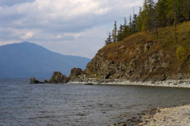 Orman göl sularının üzerindeki taşların üzerinde.