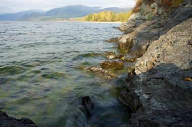 Orman göl sularının üzerindeki taşların üzerinde.