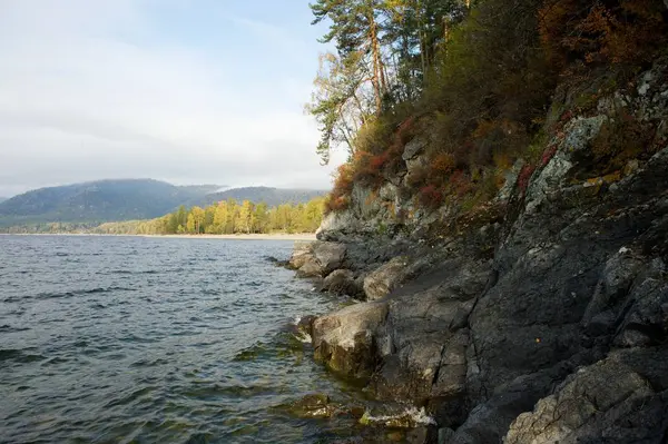 Ліс на камені над озерними водами — стокове фото