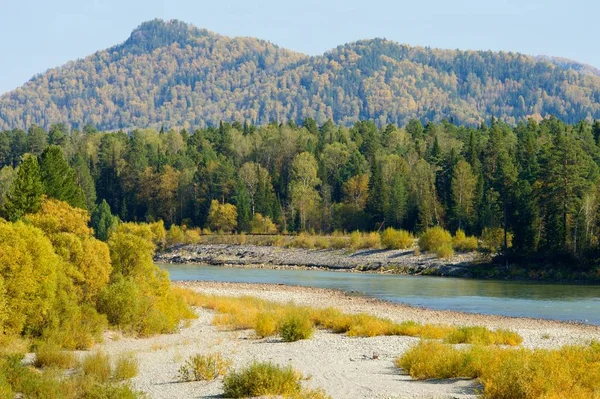 Spiaggia di ghiaia del lago di Bled — Foto Stock