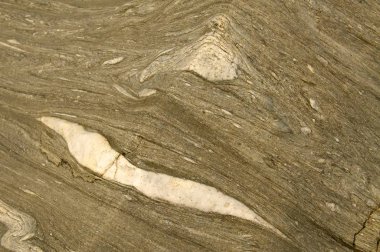 Kaba taşlaşmış ahşap dokular