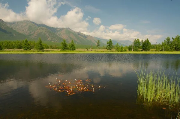 Paisaje de Baikal con bosque de primavera verde — Foto de Stock