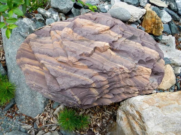 Der Stein im Wald. Riesiges Kopfsteinpflaster — Stockfoto