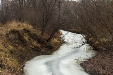 Donmuş nehir ve auatumn orman
