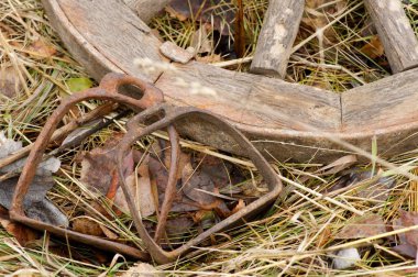 paslı stirrups yanındaki ahşap bir tekerlek yalan