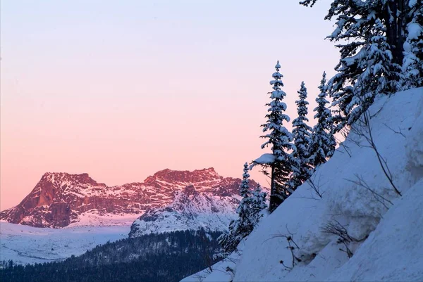 Hermosa mañana de invierno con árboles cubiertos de nieve —  Fotos de Stock