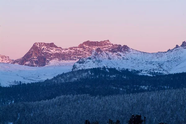 Hermosa mañana de invierno con árboles cubiertos de nieve —  Fotos de Stock