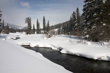 Ice free snow-bound mountain river in winter clipart