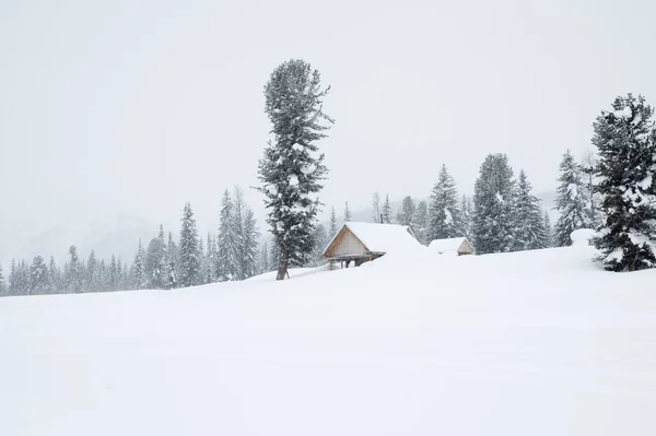 Drewniany dom Zima w lesie — Zdjęcie stockowe