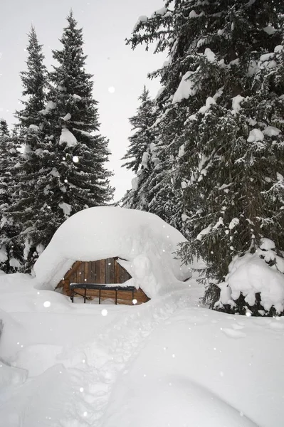 Tradycyjne drewniane toaleta w śniegu — Zdjęcie stockowe