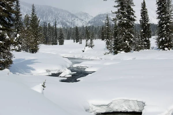 Lodu wolna powiązanego z śniegu góry rzeka w zimie — Zdjęcie stockowe