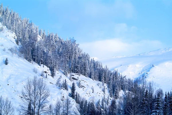 Beautiful winter landscape with snow covered trees — Stock Photo, Image