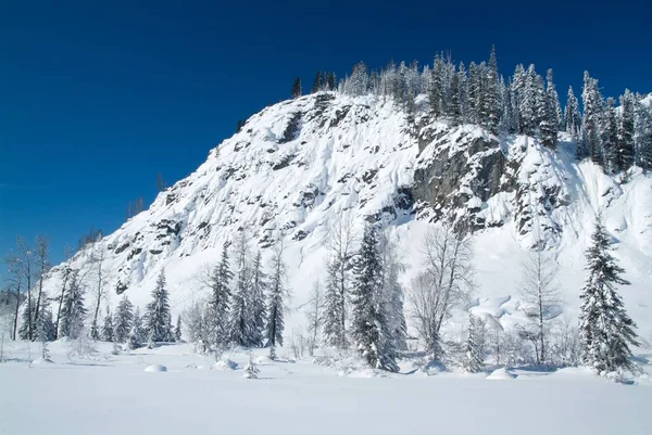 美丽的冬季风景，冰雪覆盖的树木 — 图库照片