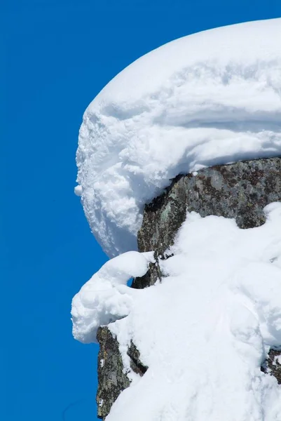 Piękny zimowy krajobraz z pokrytymi śniegiem drzewami — Zdjęcie stockowe