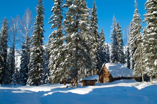 Winter wooden house in the woods — Stock Photo, Image