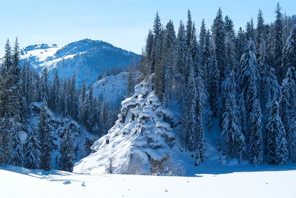 Vackert vinterlandskap med snötäckta träd — Stockfoto