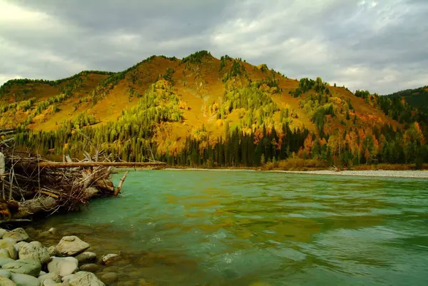 Vedere frumoasă a munților din Katun turcoaz cu cer albastru — Fotografie, imagine de stoc