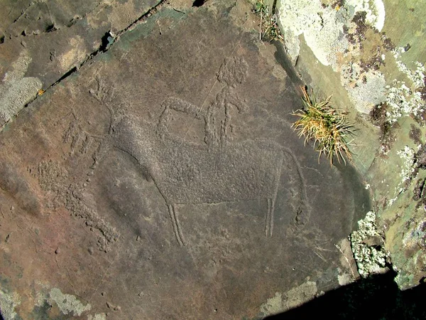 Antike Felszeichnungen, die auf der Fundstelle kalbak-tash im Altai-Gebirge gefunden wurden — Stockfoto