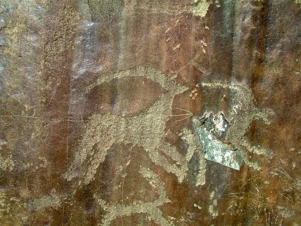 Antike Felszeichnungen, die auf der Fundstelle kalbak-tash im Altai-Gebirge gefunden wurden — Stockfoto