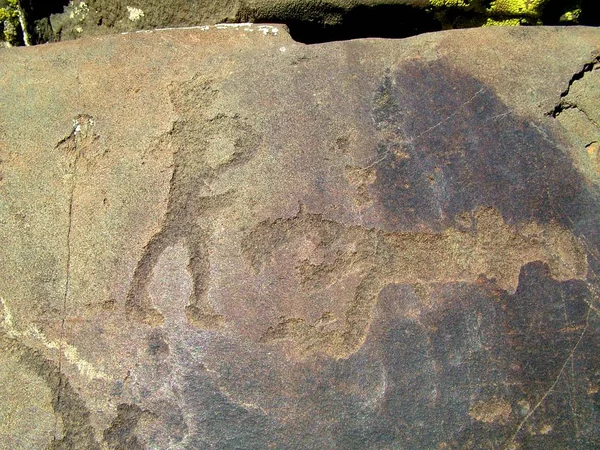 Petroglifos antigos encontrados no local Kalbak-Tash nas montanhas Altai — Fotografia de Stock