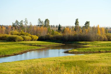 Sonbahar orman manzara nehir şaşırtıcı sonbahar arka plan