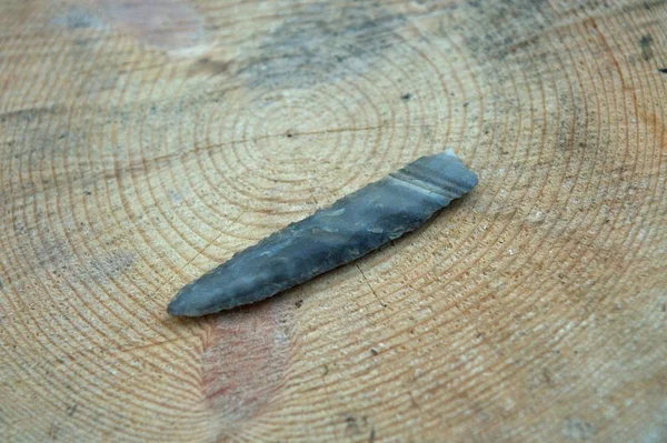 Ancient stone knife on a cut tree