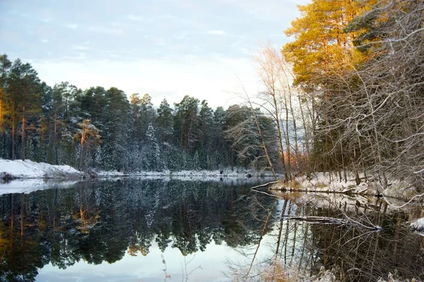 Reflexão simétrica na água Floresta nevada de outono — Fotografia de Stock