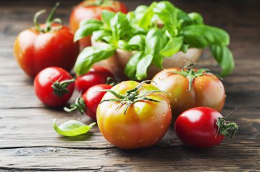 Olgun domates ve fesleğen