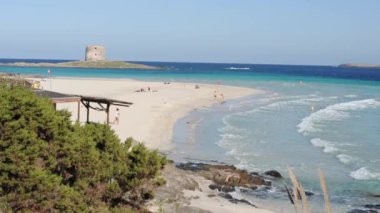 Şaşırtıcı Sardunyalı beach