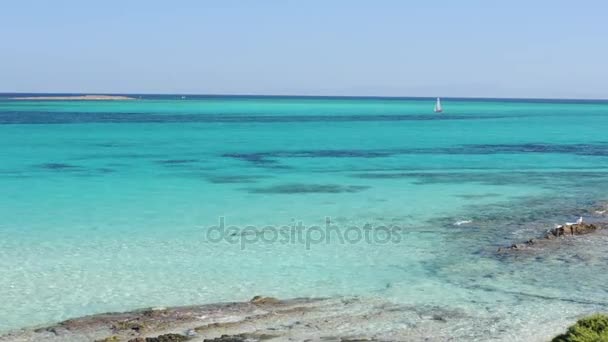 Şaşırtıcı Sardunyalı beach — Stok video