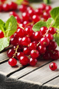 Kırmızı kuş üzümü ve nane 